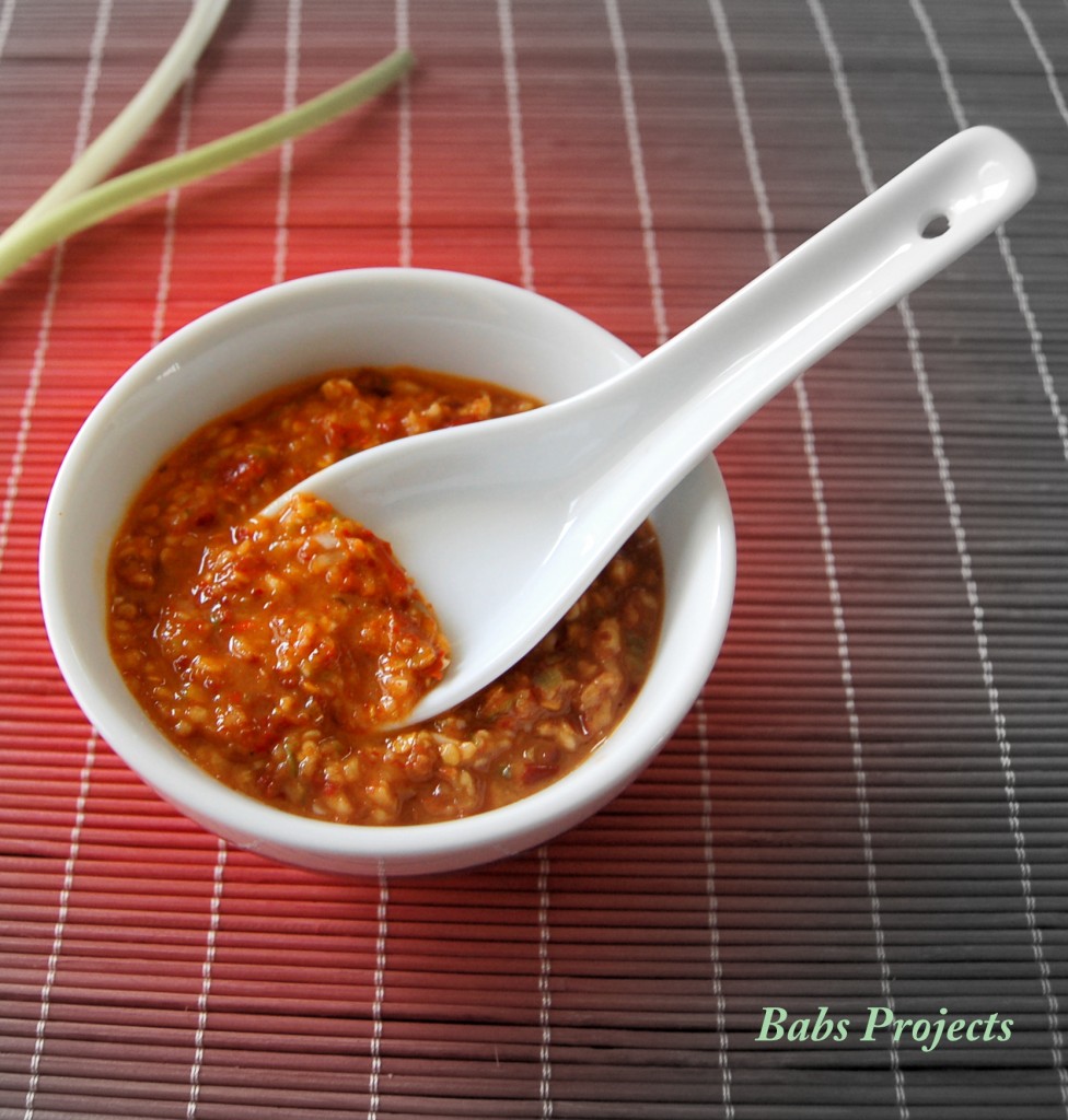 Red Chili Paste in a White Bowl with White Soup Spoon