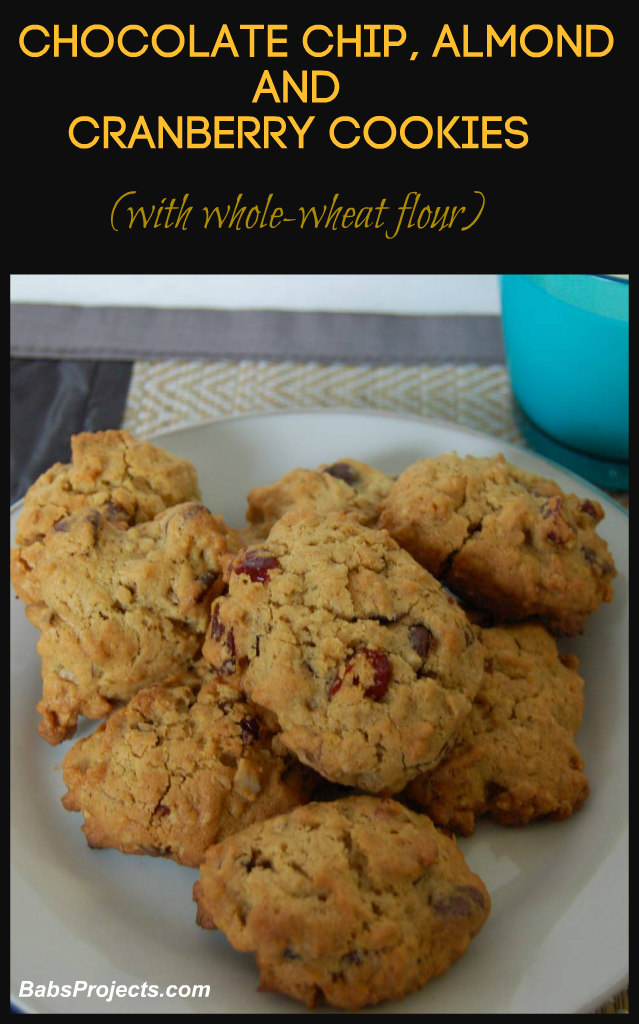 Chocolate Chip Almond and Cranberry Cookies on a White Plate