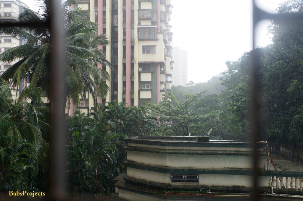Monsoon View