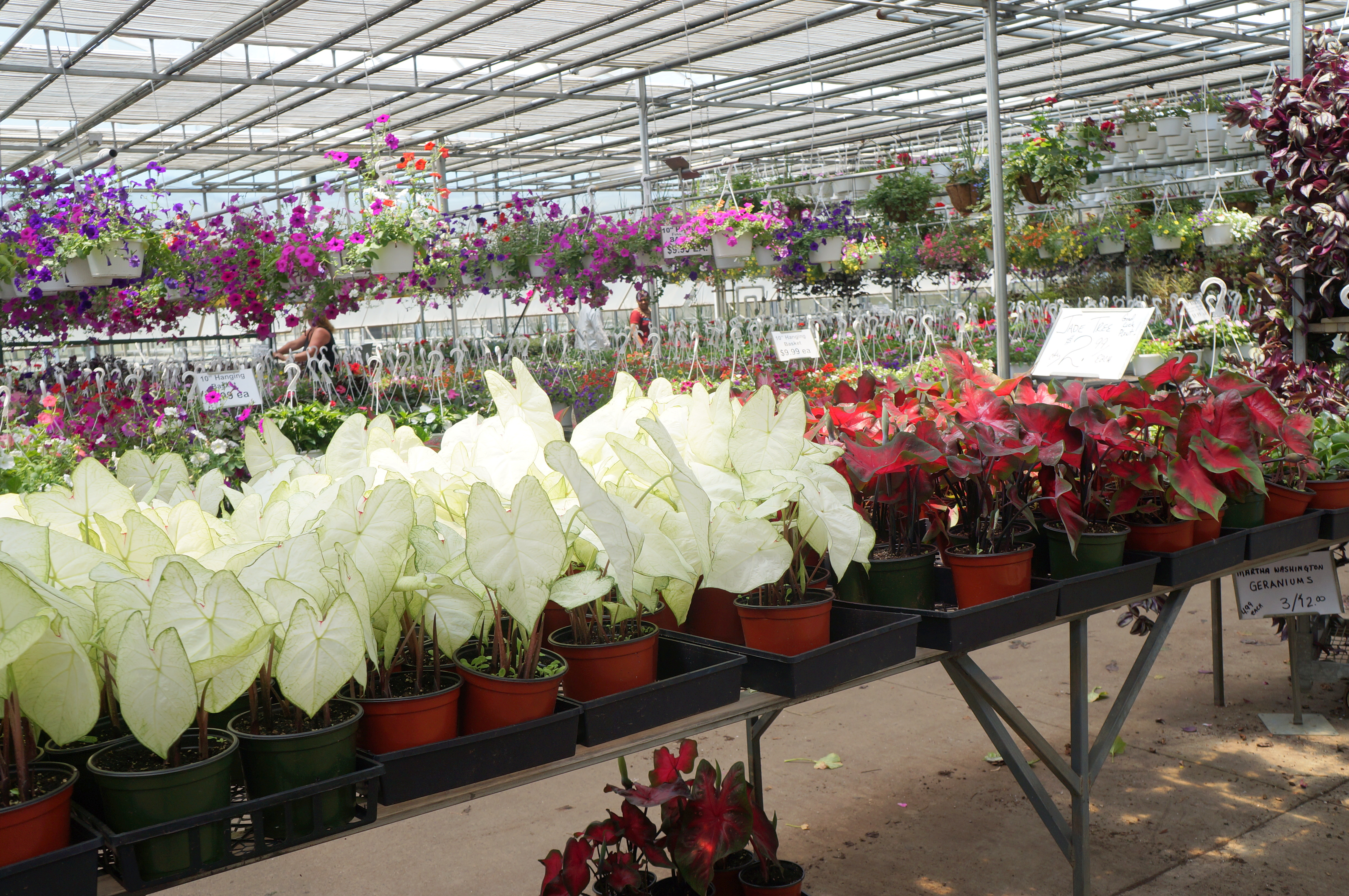 gaskofamilyfarmannuals Babs Projects