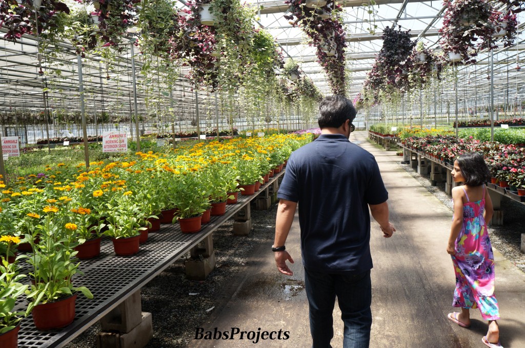 Gasko Family Farm Nursery