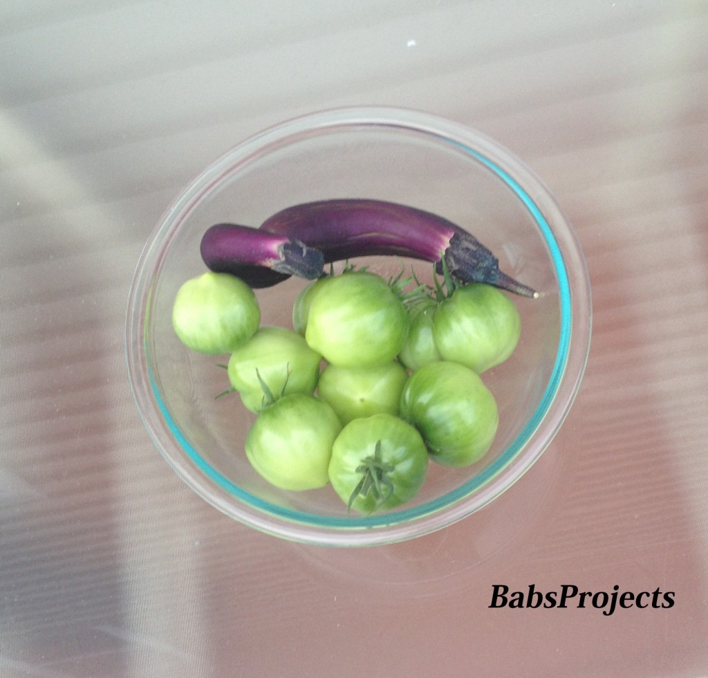 Green Tomatoes From Garden