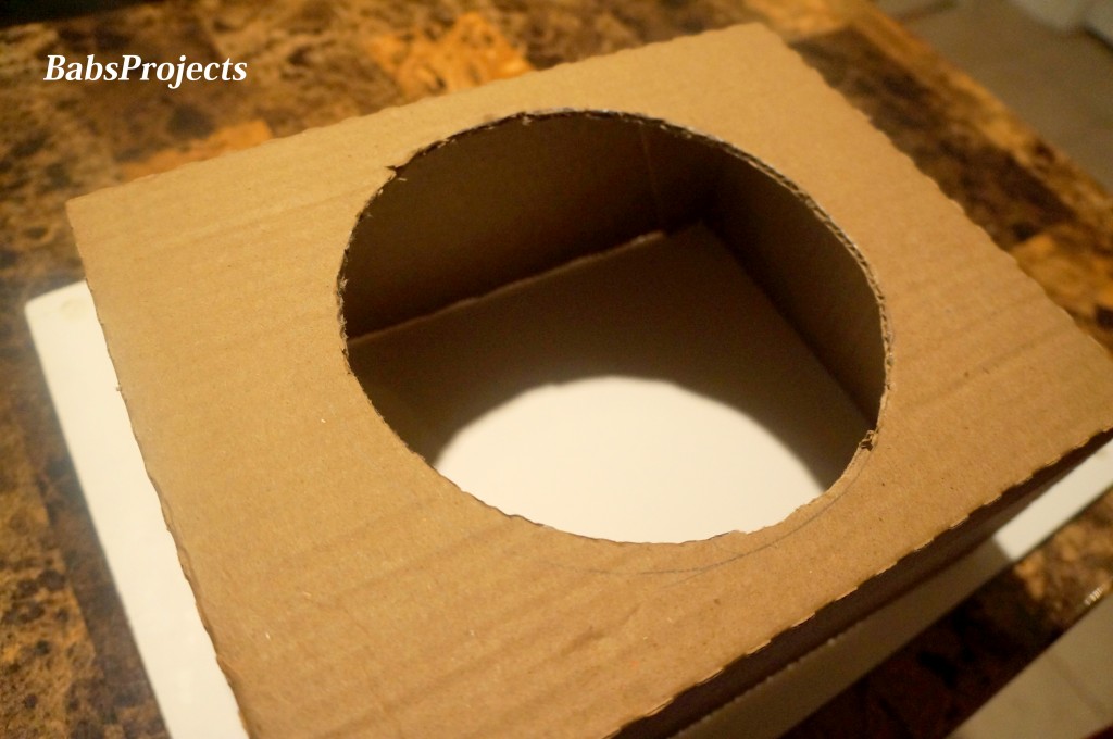 Cut Hole Cardboard Box
