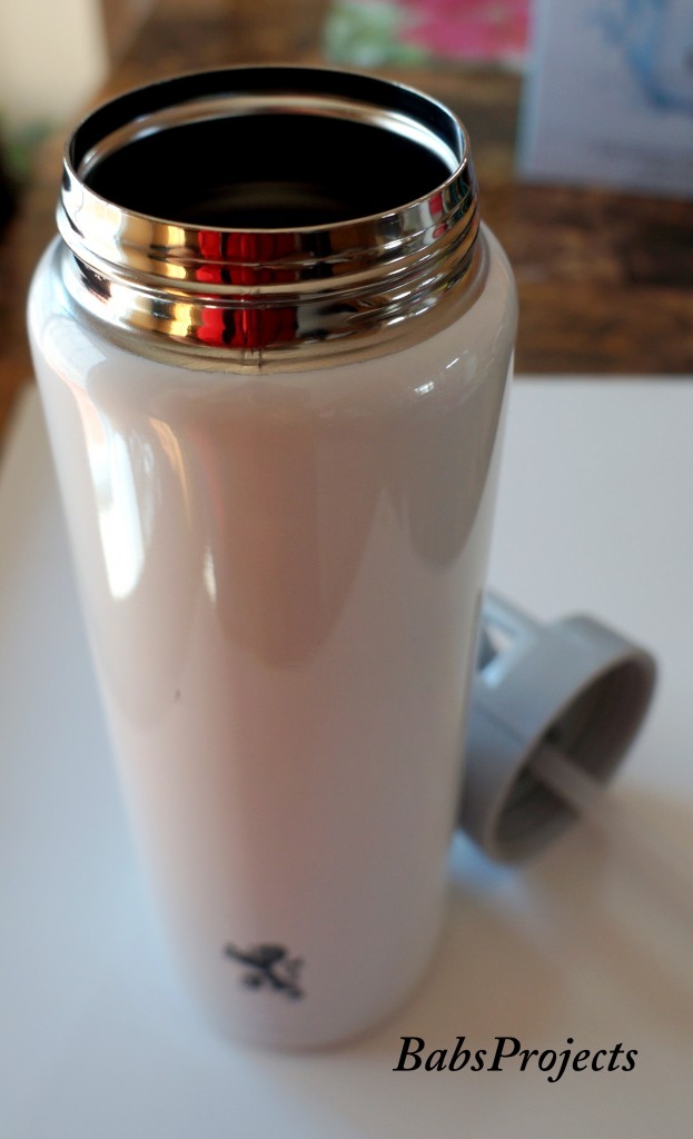 Stainless Steel Water Bottle