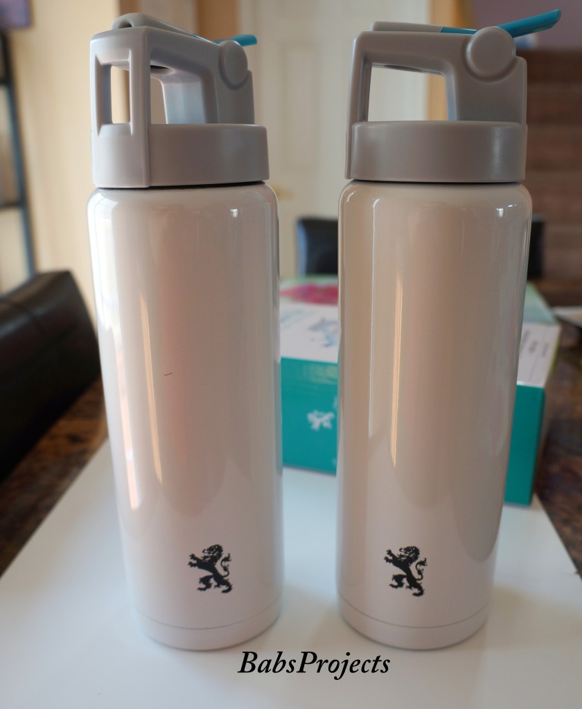 Stainless Steel Water Bottle 1