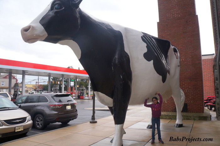 Turkey Hill Experience Cow