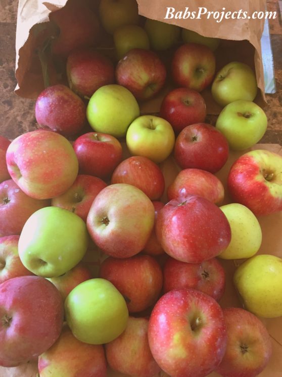 Battleview Orchards Apple Varieties