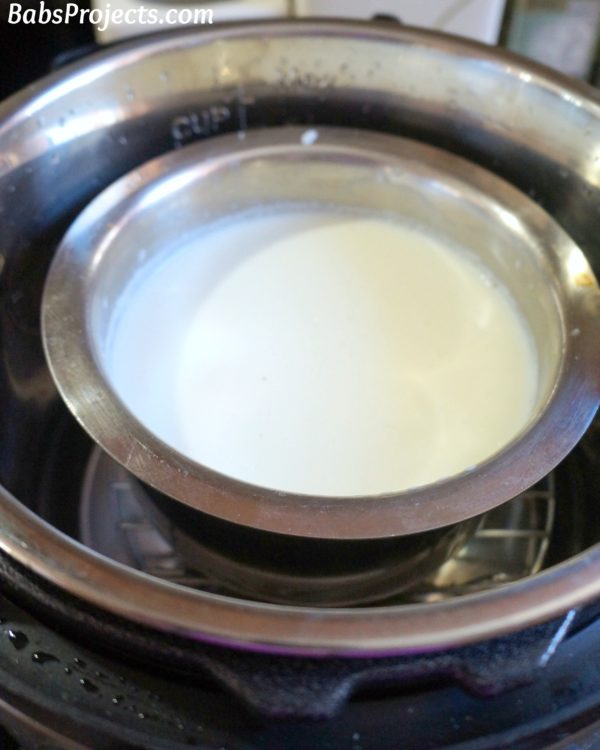 Learn How to Make Homemade Yogurt in Instant Pot