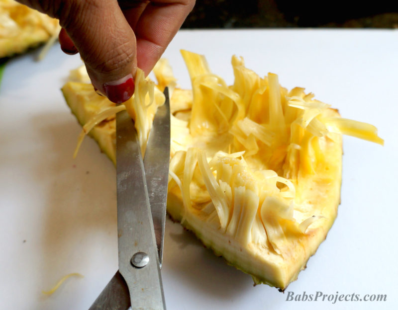 Preserve Jackfruit Rind, Cut the Fibrous Filament with Scissors