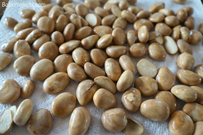 Jackfruit Seeds - Cut Open Ripe Jackfruit