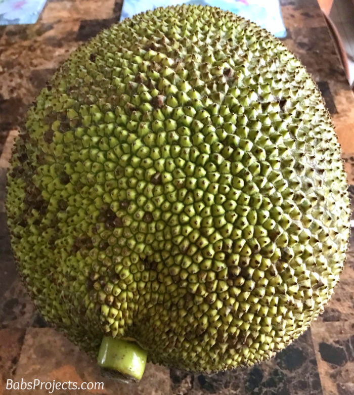 Whole Ripe Jackfruit - Cut Open Ripe Jackfruit