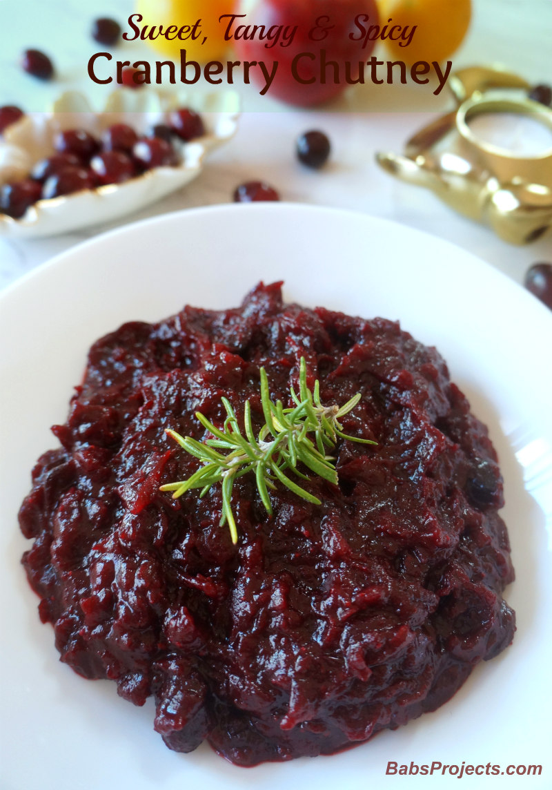 Cranberry Chutney on a White Plate with Rosemary on Top