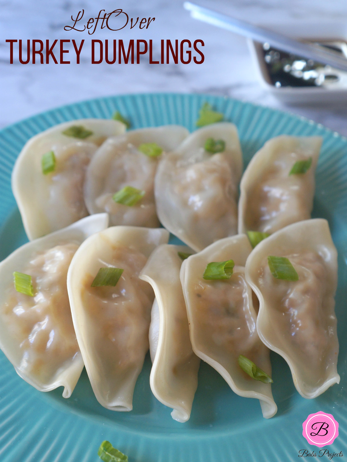 Leftover Turkey Dumpligs on a Turquoise Plate with Green Onions Sprinkled on Top