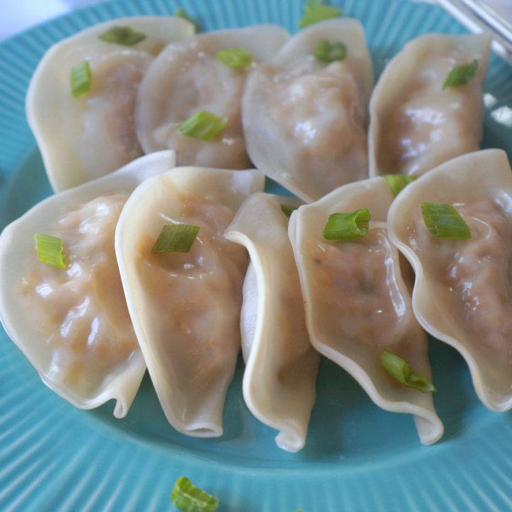 Turkey Dumplings on a Turquoise Plate