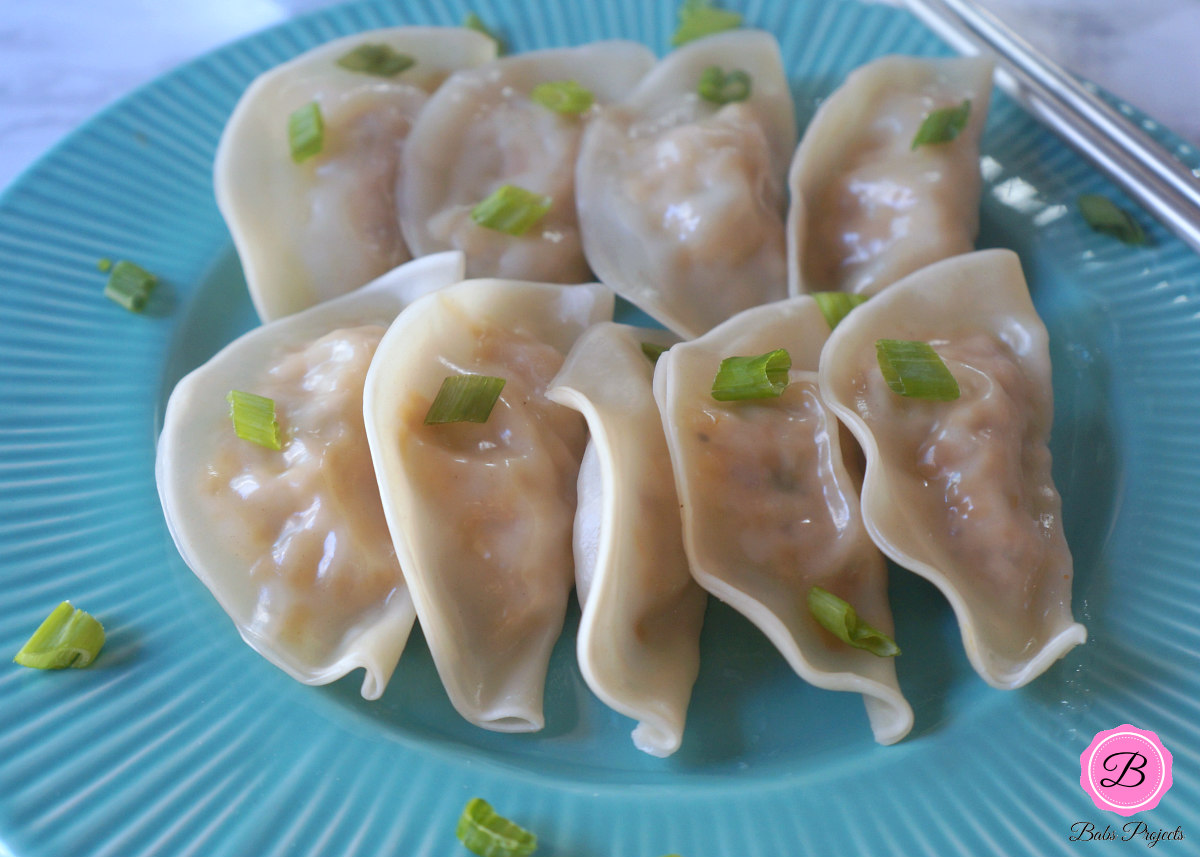 Turkey Dumplings on a Turquoise Plate