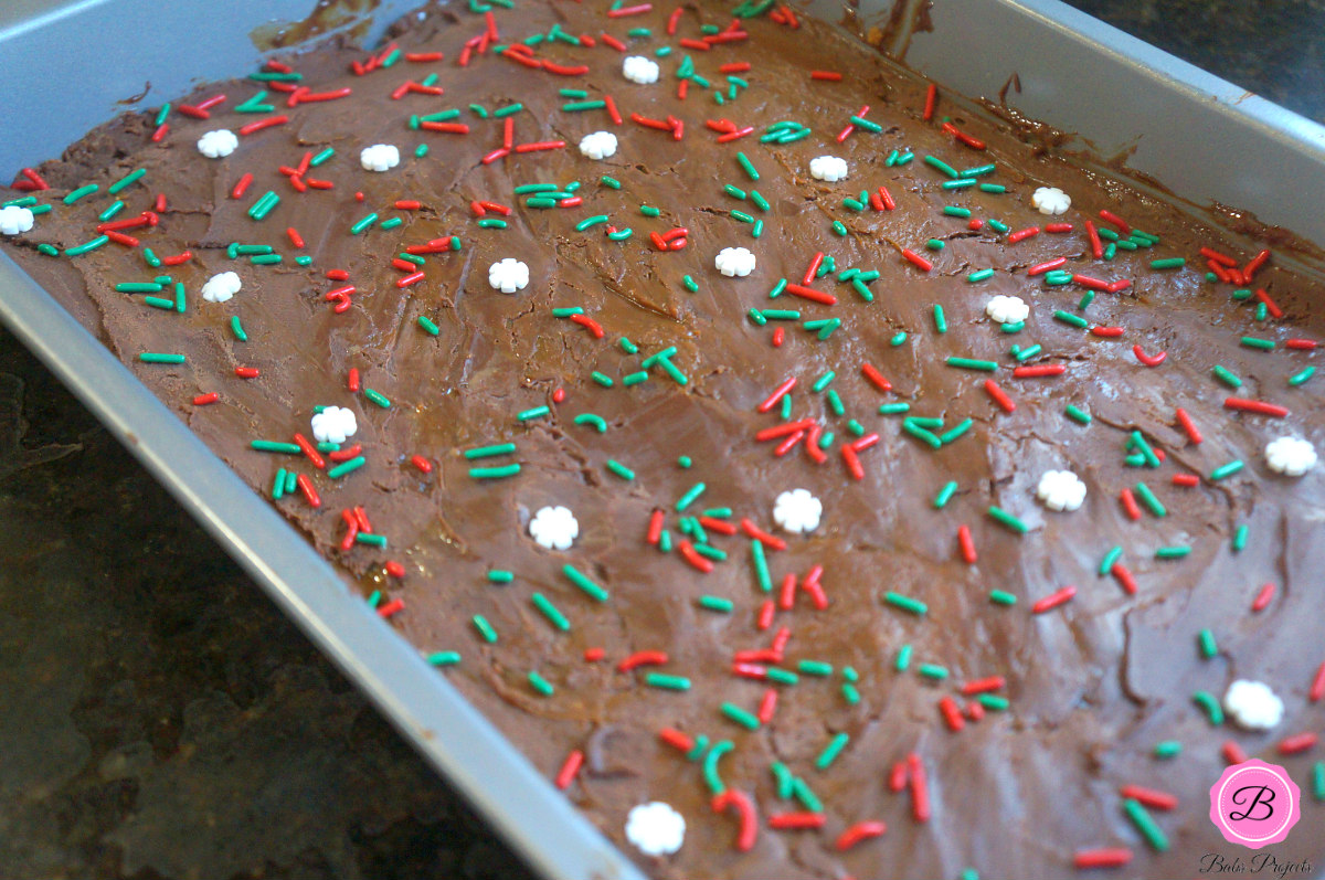 Chocolate Dulce De Leche with Christmas Sprinkles on Top