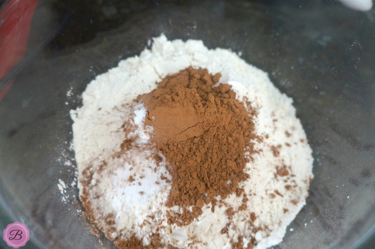 Dry Ingredients for Cookie