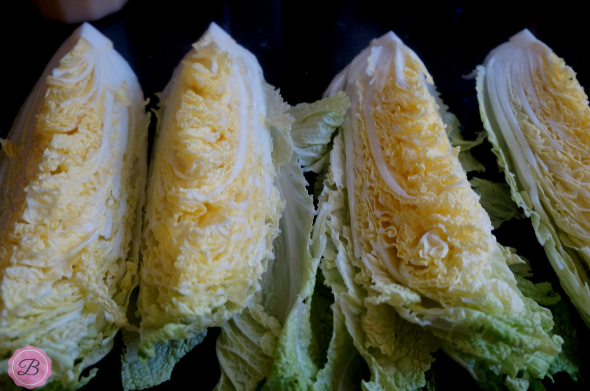 Napa Cabbage Chopped into Four Pieces