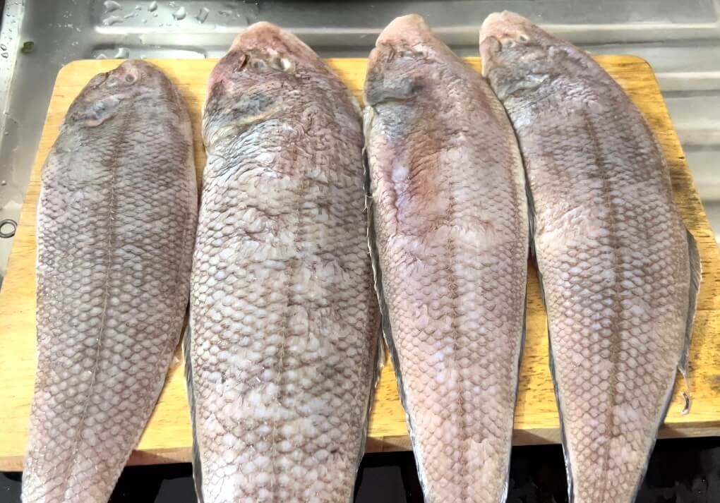 Close-up Picture of Nangu, Indian Sole Fish, Lep or Lepo
