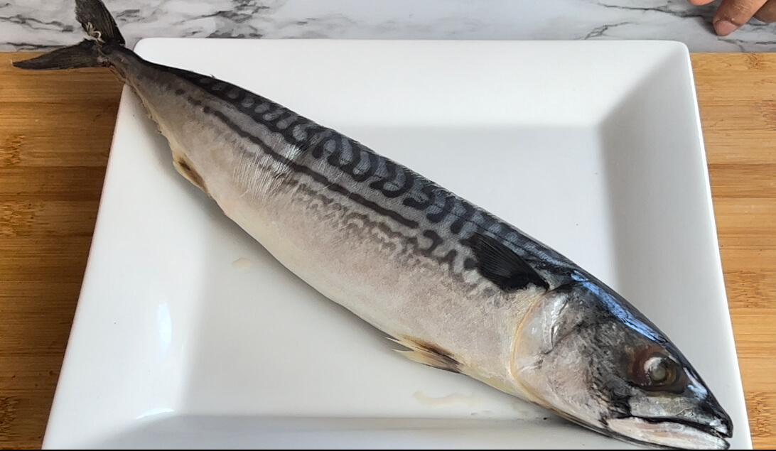 Whole Atlantic Mackerel on a White Plate